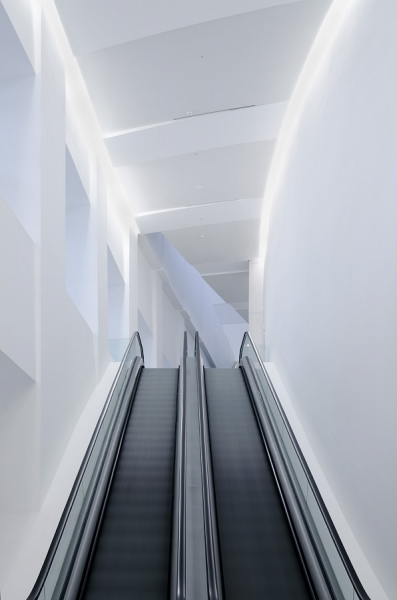 Photograph Daniel Vine Garcia Up Or Down on One Eyeland